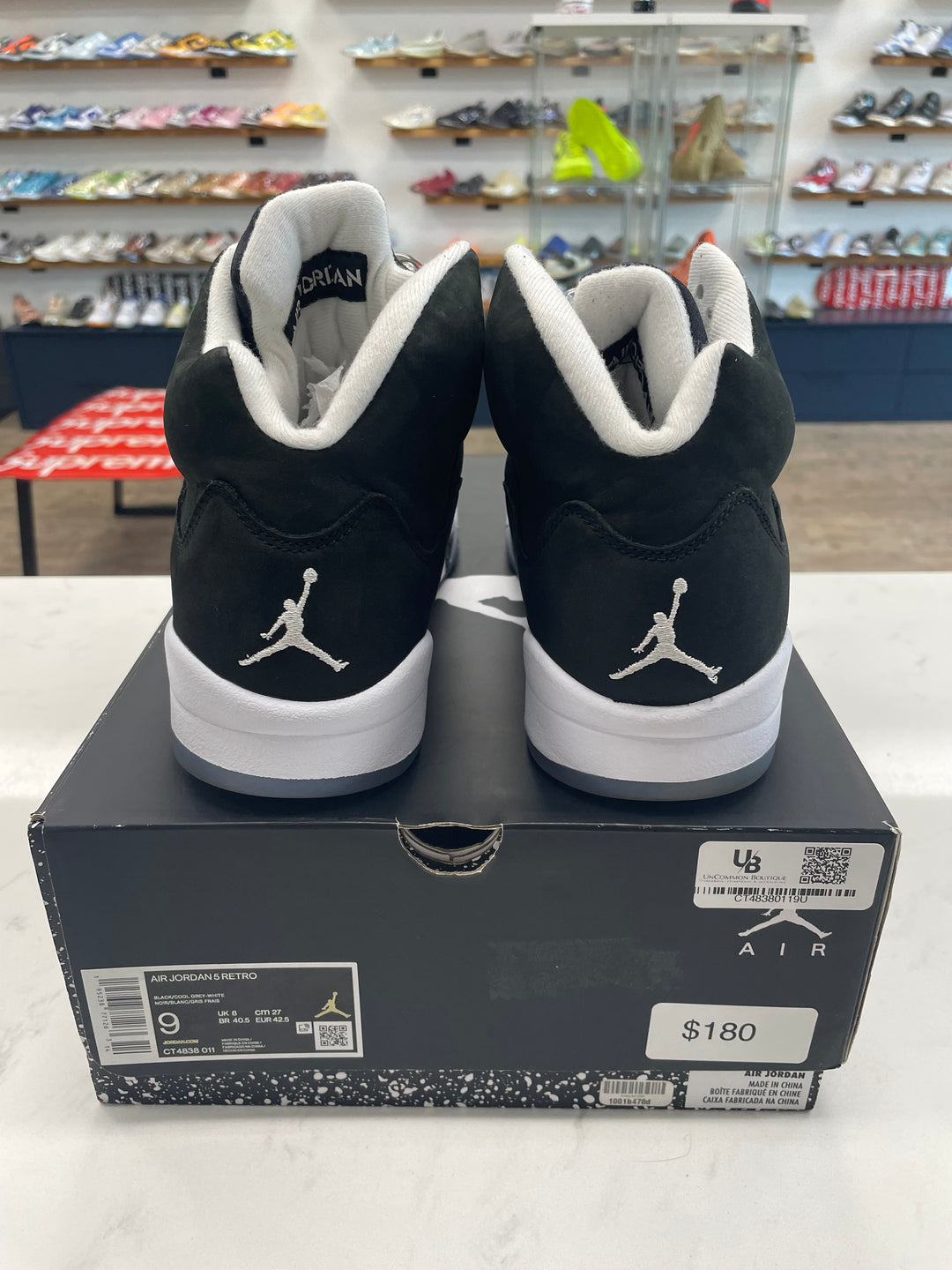 Jordan 5 Retro Moonlight (2021)- Worn