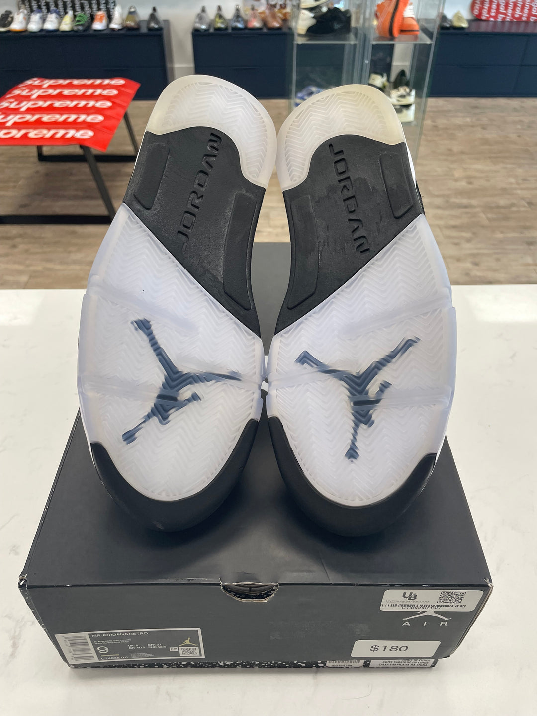 Jordan 5 Retro Moonlight (2021)- Worn
