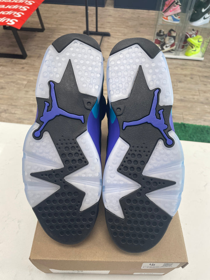 Jordan 6 Retro Aqua - Worn
