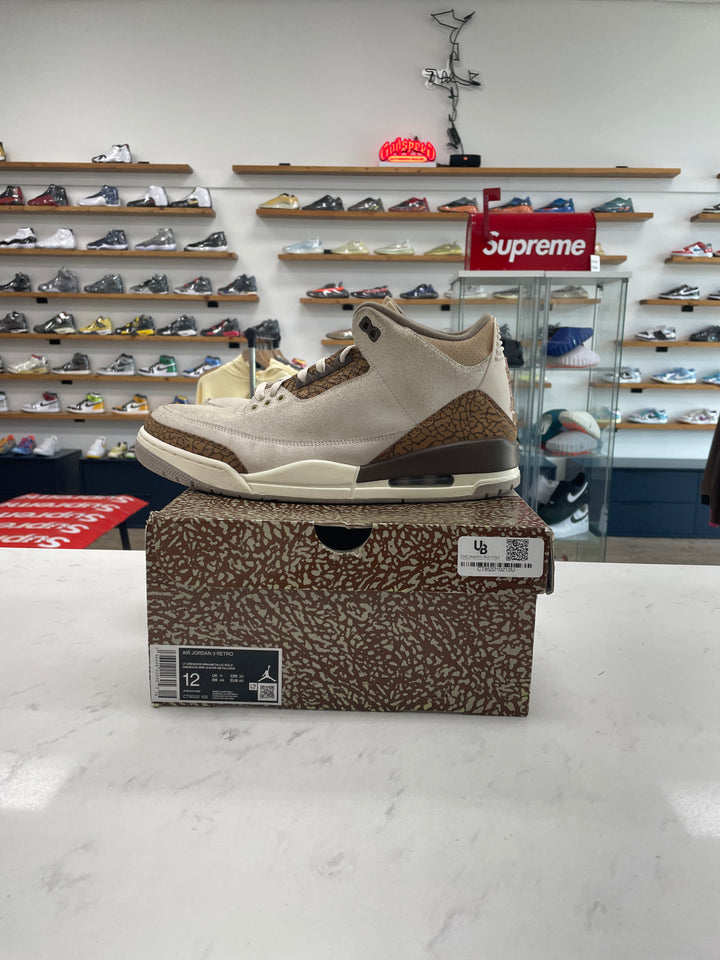 Jordan 3 Retro Palomino - Worn