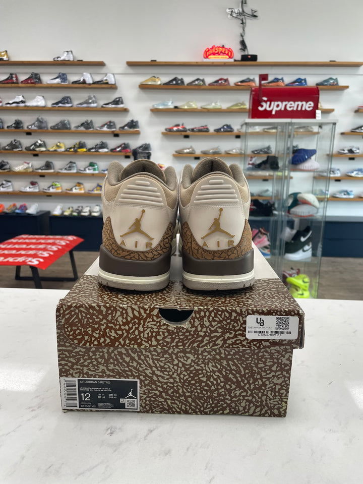 Jordan 3 Retro Palomino - Worn