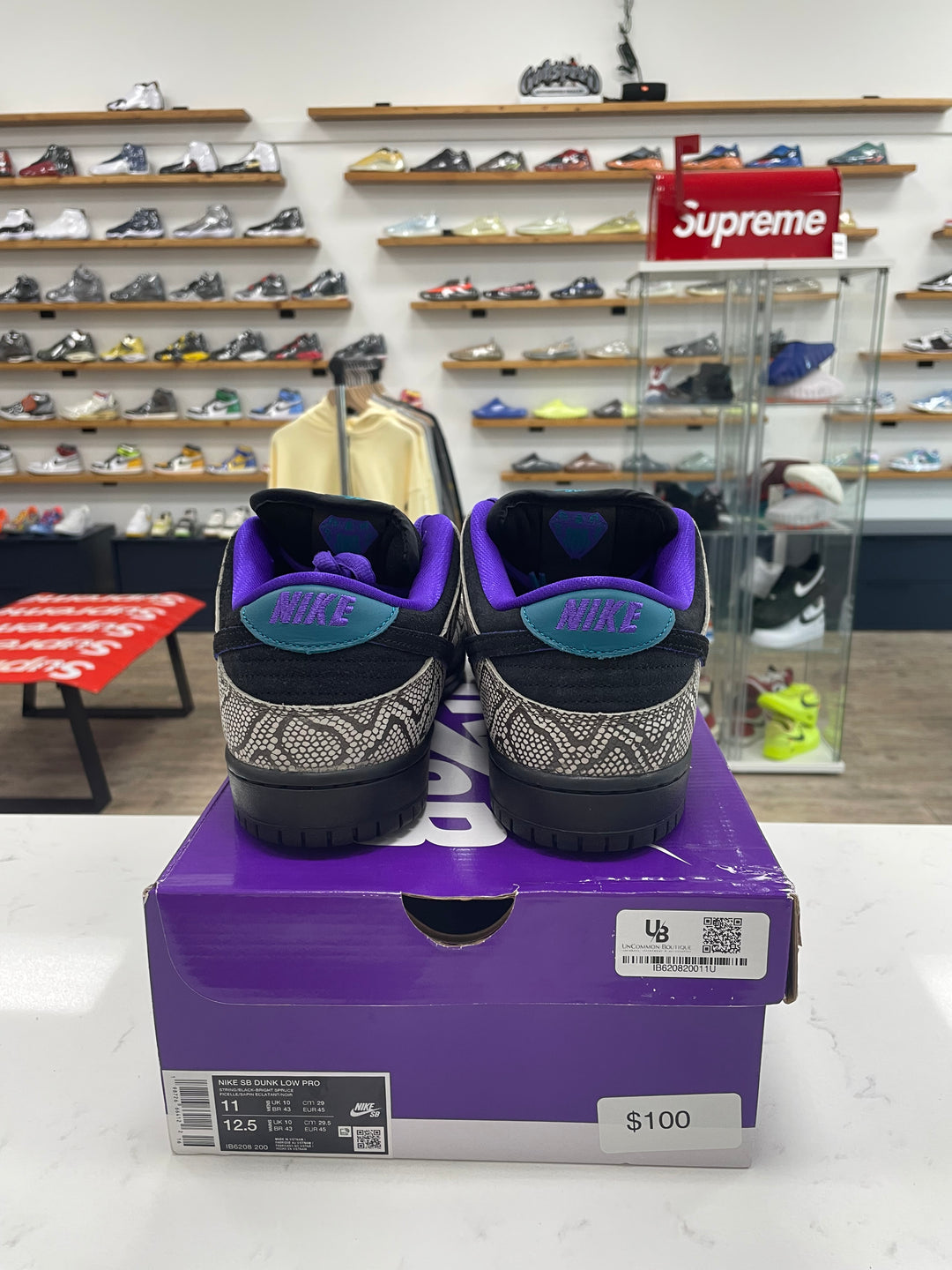 Nike SB Dunk Low Dashawn Jordan Copperhead - Worn
