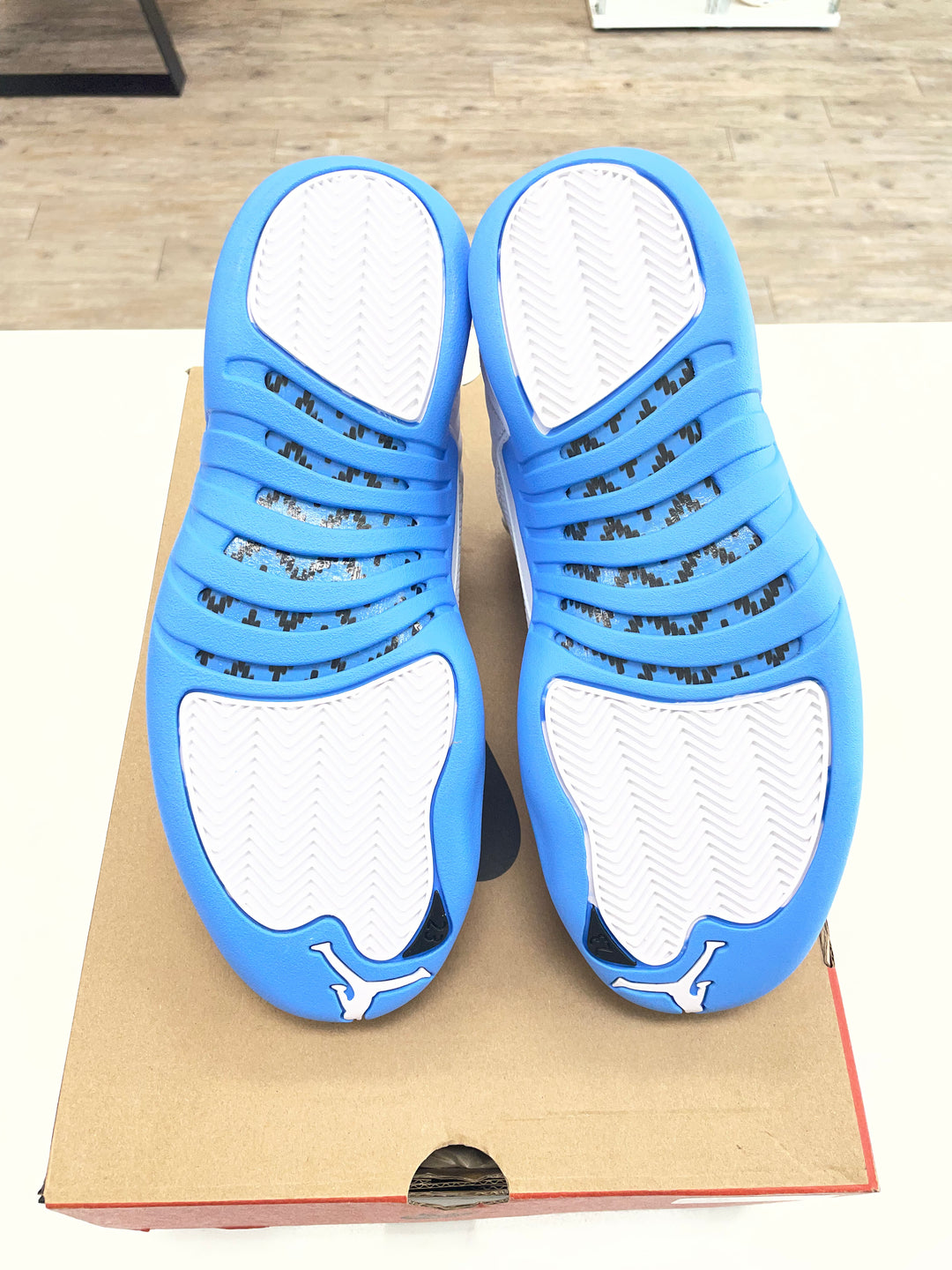 Jordan 12 Retro Melo (2025) - Worn