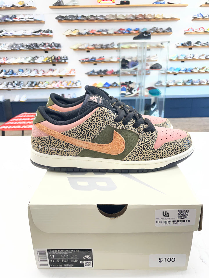 Nike SB Dunk Low Arts-Rec - Worn