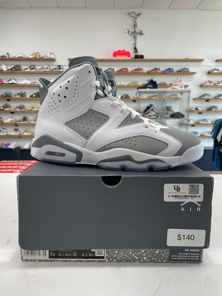 Jordan 6 Retro Cool Grey - Worn