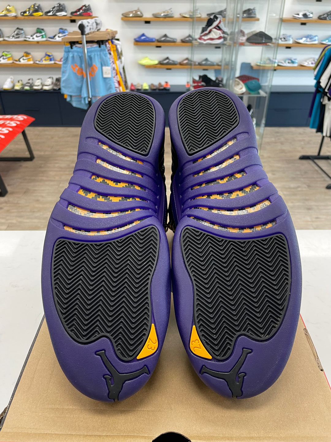 Jordan 12 Retro Field Purple - Worn