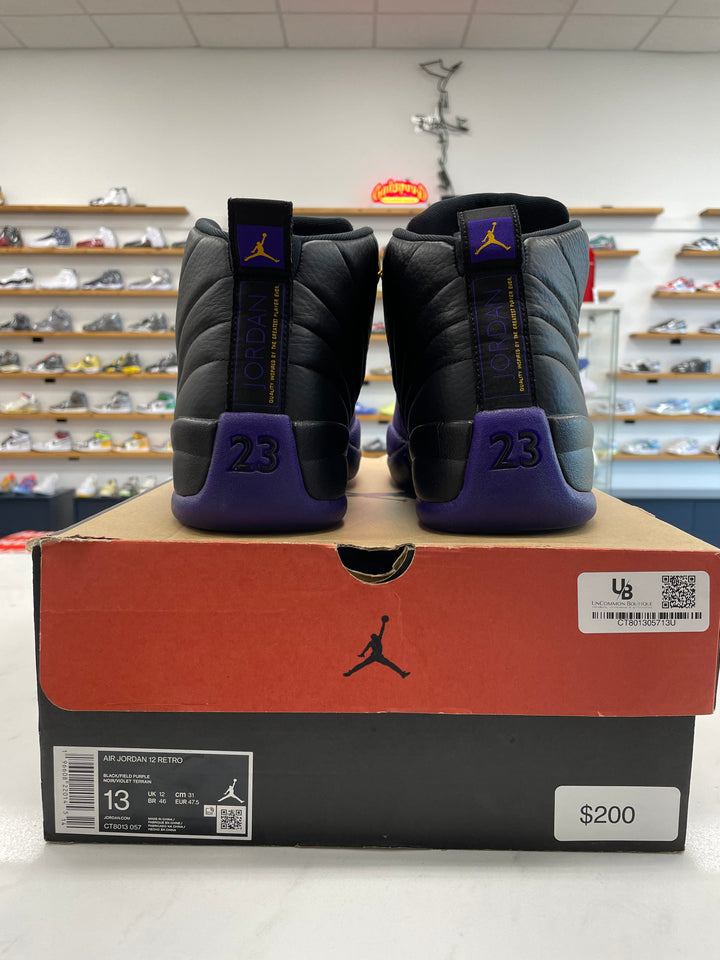 Jordan 12 Retro Field Purple - Worn